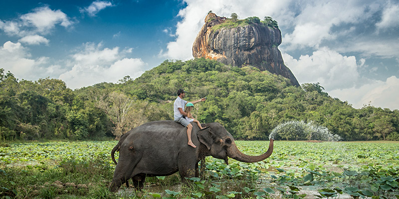 ELEPHANTS