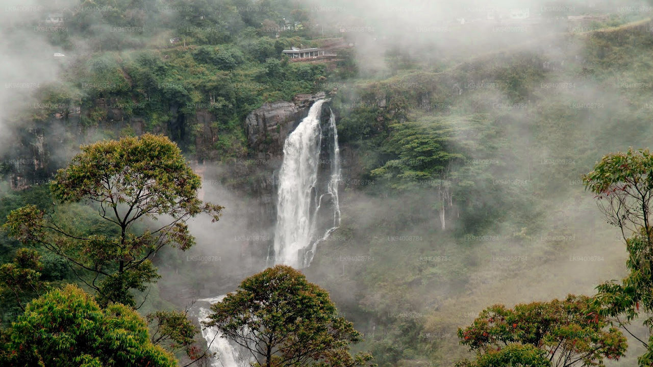Devon falls
