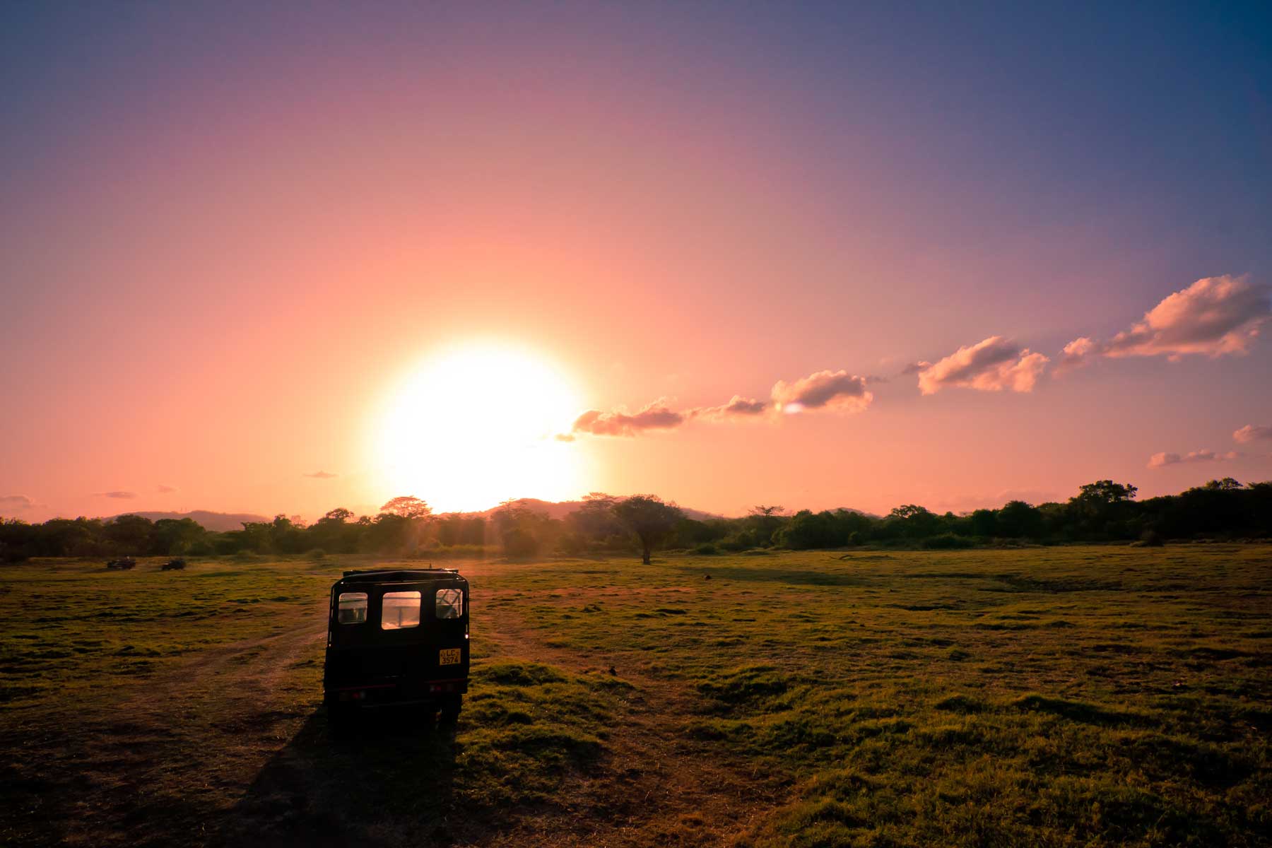 Minneriya safari